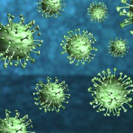 Coronavirus: Aktualisierte Arbeitshilfen des DTB veröffentlicht